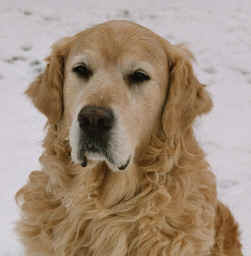 Ballu Winter 2005